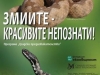 zmiite_388x600