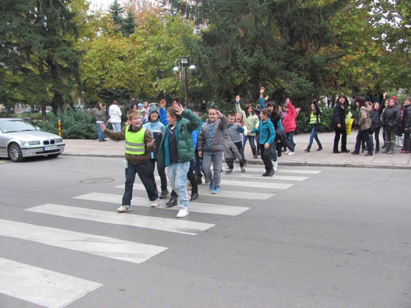 picture-051_800x600