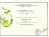 kocev_424x600